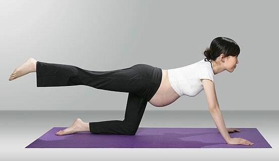 适合孕晚期做的运动方式